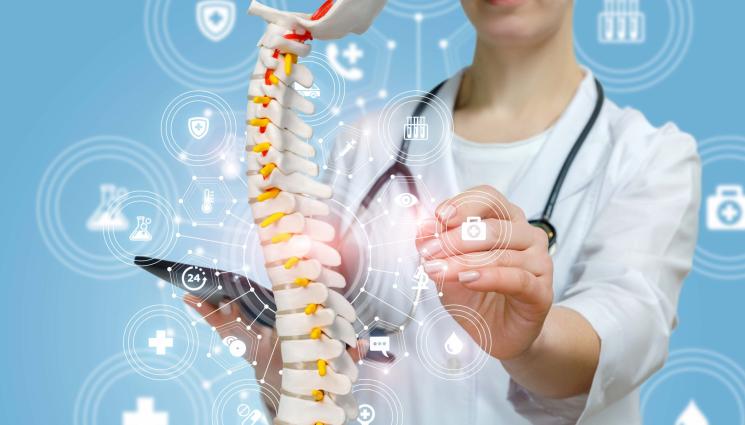 Хрущиял Акула Гръбнак - Хрущял от акула е мощна и естествена подкрепа за ставите