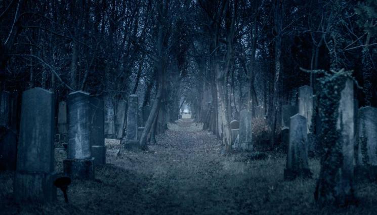 д - Мистериозна смърт в Монтанско: Намериха труп на гробище!