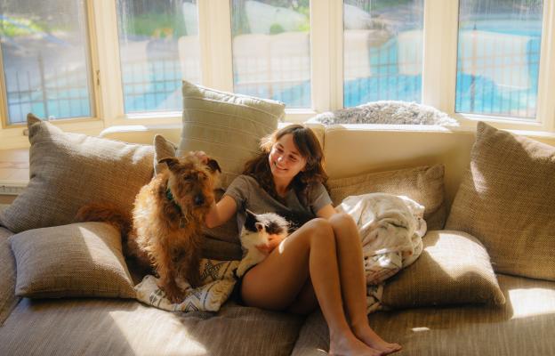 куче у дома