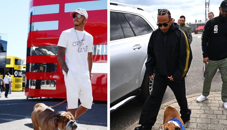 Люис Хамилтън Роско - Кучето на Хамилтън е в кома