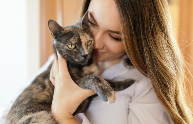 Домашна котка и стопанка