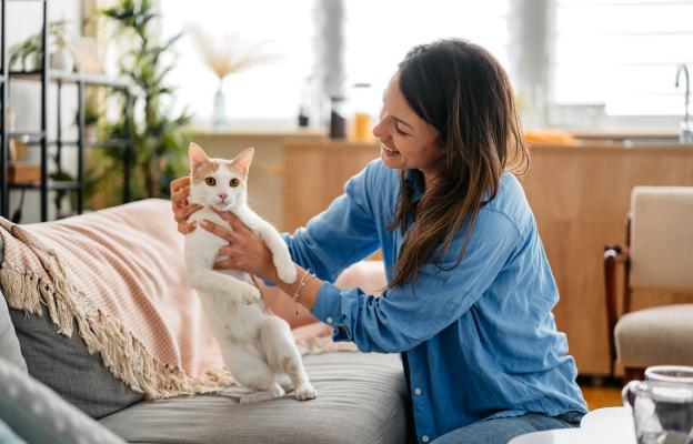 Домашна котка и стопанка