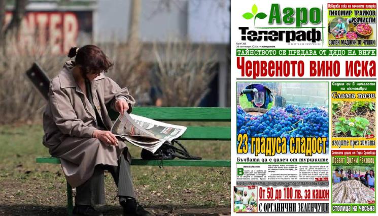 агро телеграф - Колко ще броим за кашон биозеленчуци?