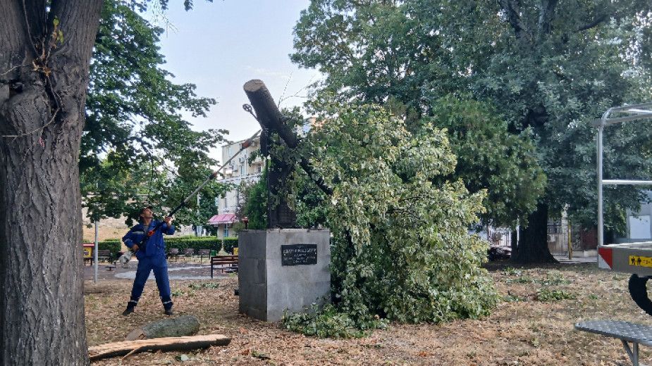 паметник на цар Срацимир