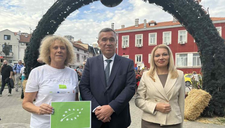 агро - Агро Телеграф: От 50 до 100 лв. за кашон с органични зеленчуци (СНИМКИ)