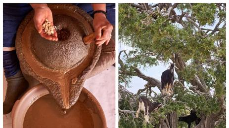 арган арганово масло