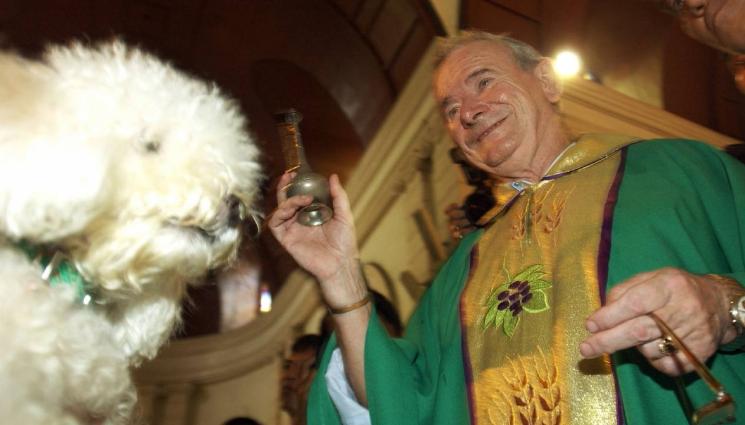 чудеса и вяра - ЧУДЕСА И ВЯРА: Честваме Световния ден на животните на 4 октомври! (СНИМКИ)