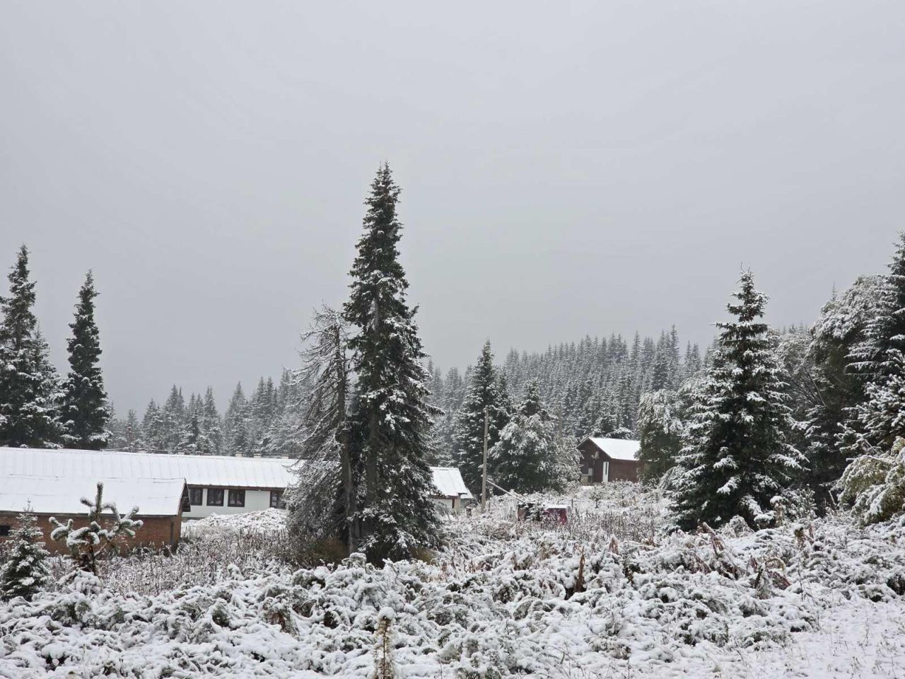 <p>Сняг натрупа тази нощ на Белмекен. По пътищата в областта вече има снежна покривка от 6-7 сантиметра. Очаква се през деня снеговалежът да продължи</p>