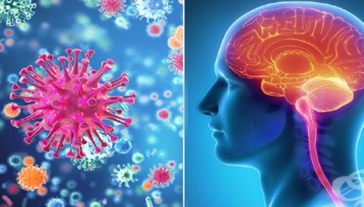 менингит - ПЛАШИ НИ ПОРЕДНАТА БОЛЕСТ: Огнище на менингит уби двама души, 11 са в болница!