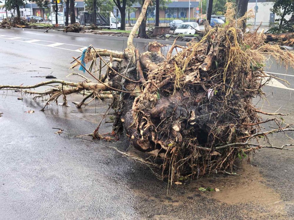 Бедствено положение в община Царево