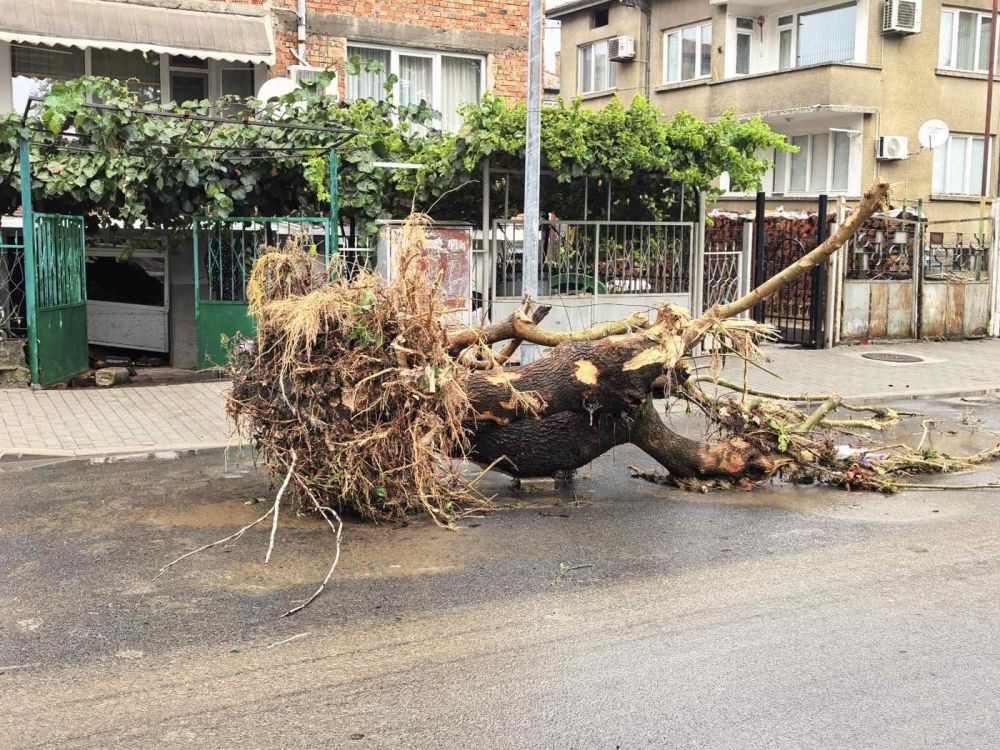 Бедствено положение в община Царево