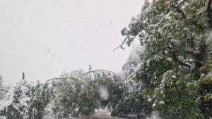 проход Петрохан сняг