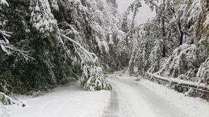 проход Петрохан сняг