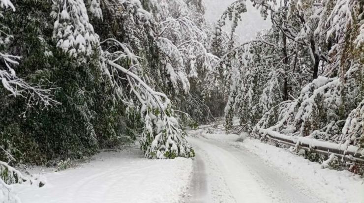 проход Петрохан сняг