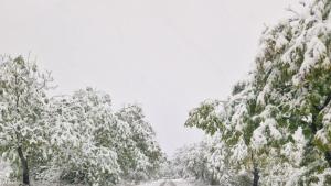 проход Петрохан сняг