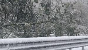 Временно се ограничава движението за моторни превозни средства над 12