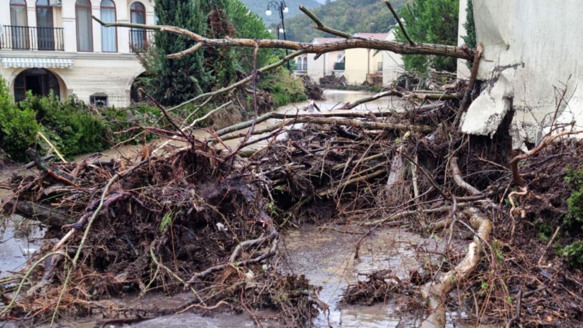 Днес собствениците на имоти във ваканционното селище Елените ще решат