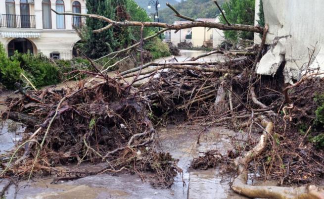 Откриха куп нарушения в Елените