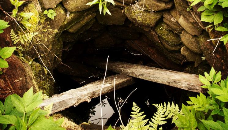 кладенец - КАТО ПО ЧУДО: Жена оцеля 54 часа в кладенец, заобиколена от чудовищни твари!