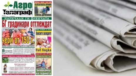 Агро Телеграф