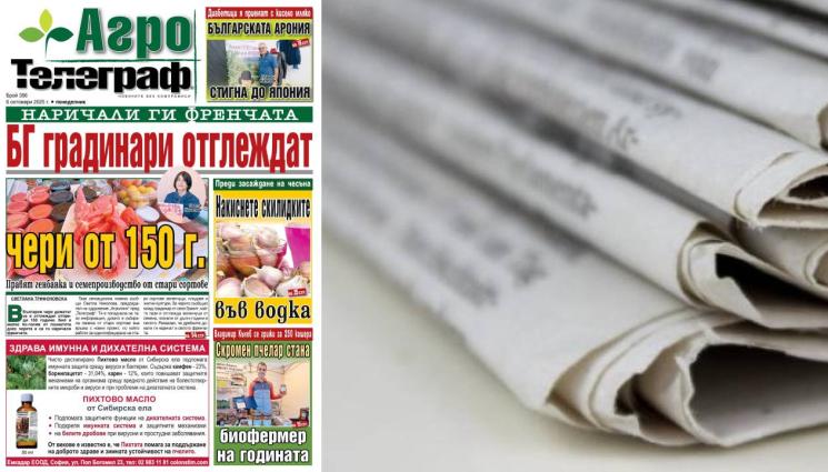 Агро Телеграф - Защо японците пият българско кисело мляко с арония?