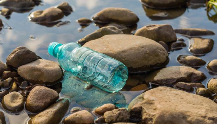 боклук река - ЕКО АКЦИЯ: Пловдивчани разчистват дигата на река Марица