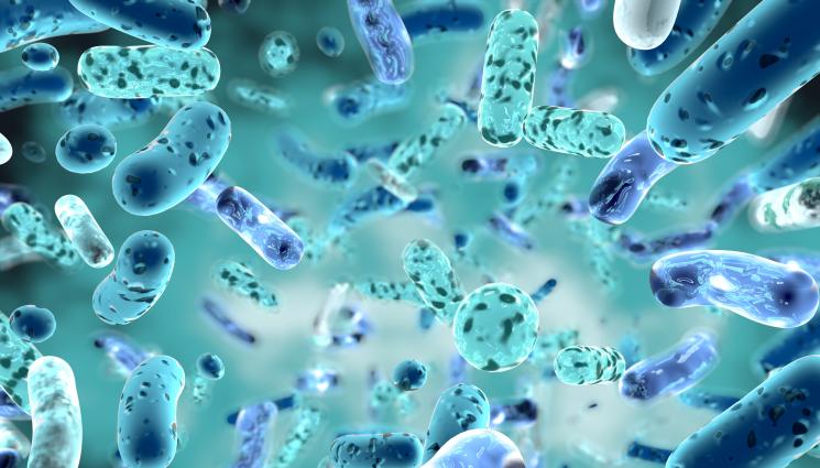 микроби - ЗАРАДИ ГЛОБАЛНОТО ЗАТОПЛЯНЕ: Микроби на 40 000 години излязоха изпод леда, чака ни нова пандемия?!