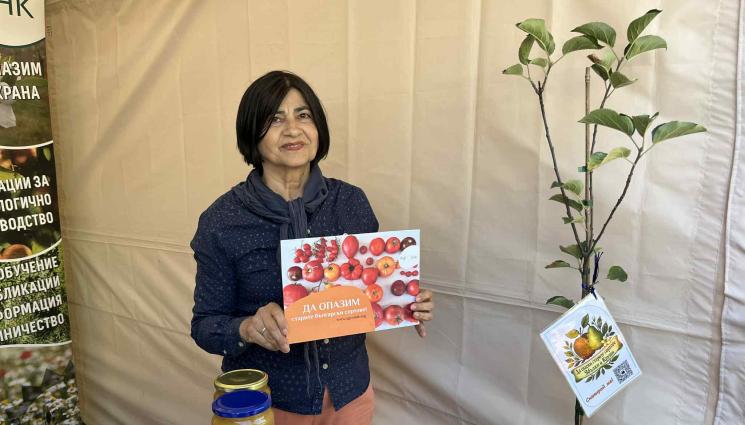 Светла Николова - Агро Телеграф: БГ градинари отглеждат чери от 150 г.