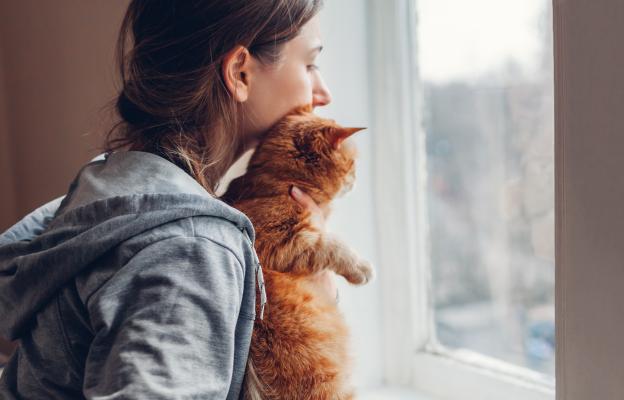 Домашна котка и стопанка