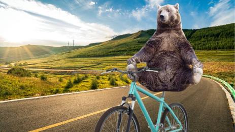 мечка колело