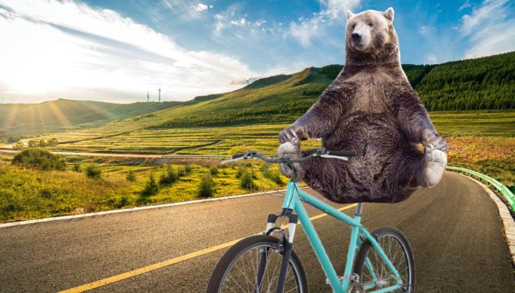 мечка колело - ПЪЛНА ЛУДНИЦА: Мечка подкара колело по натоварен булевард! (ВИДЕО)