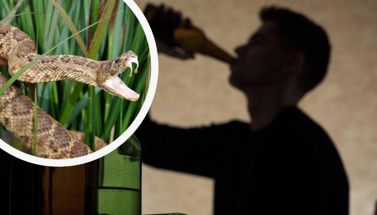 пепелянка - Пепелянка умря, след като ухапа пияница!