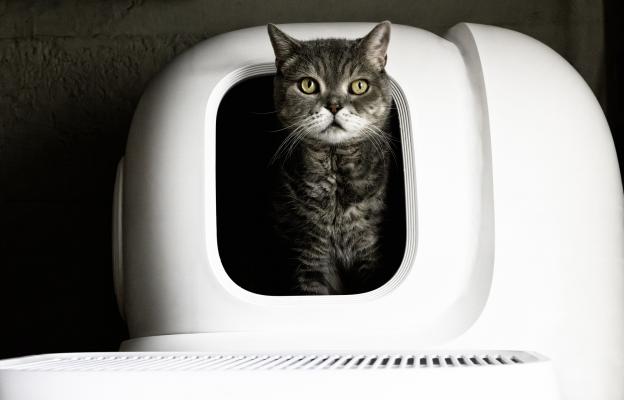 Котешка тоалетна