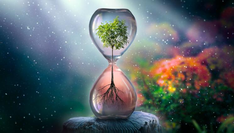 време - НЯМА ДА ПОВЯРВАТЕ: Характерът предсказва колко дълго ще живеете!