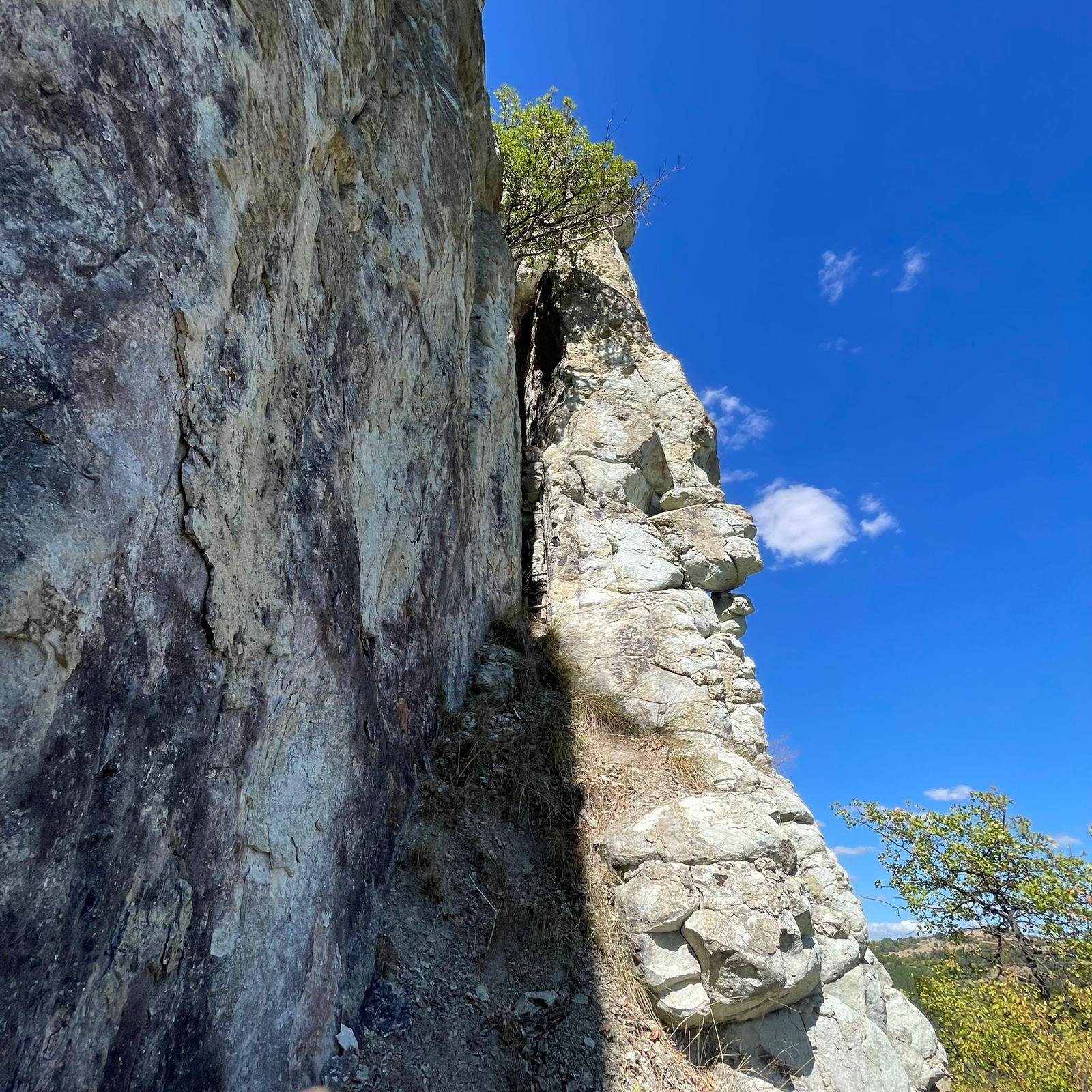 Мухарем Алиосман