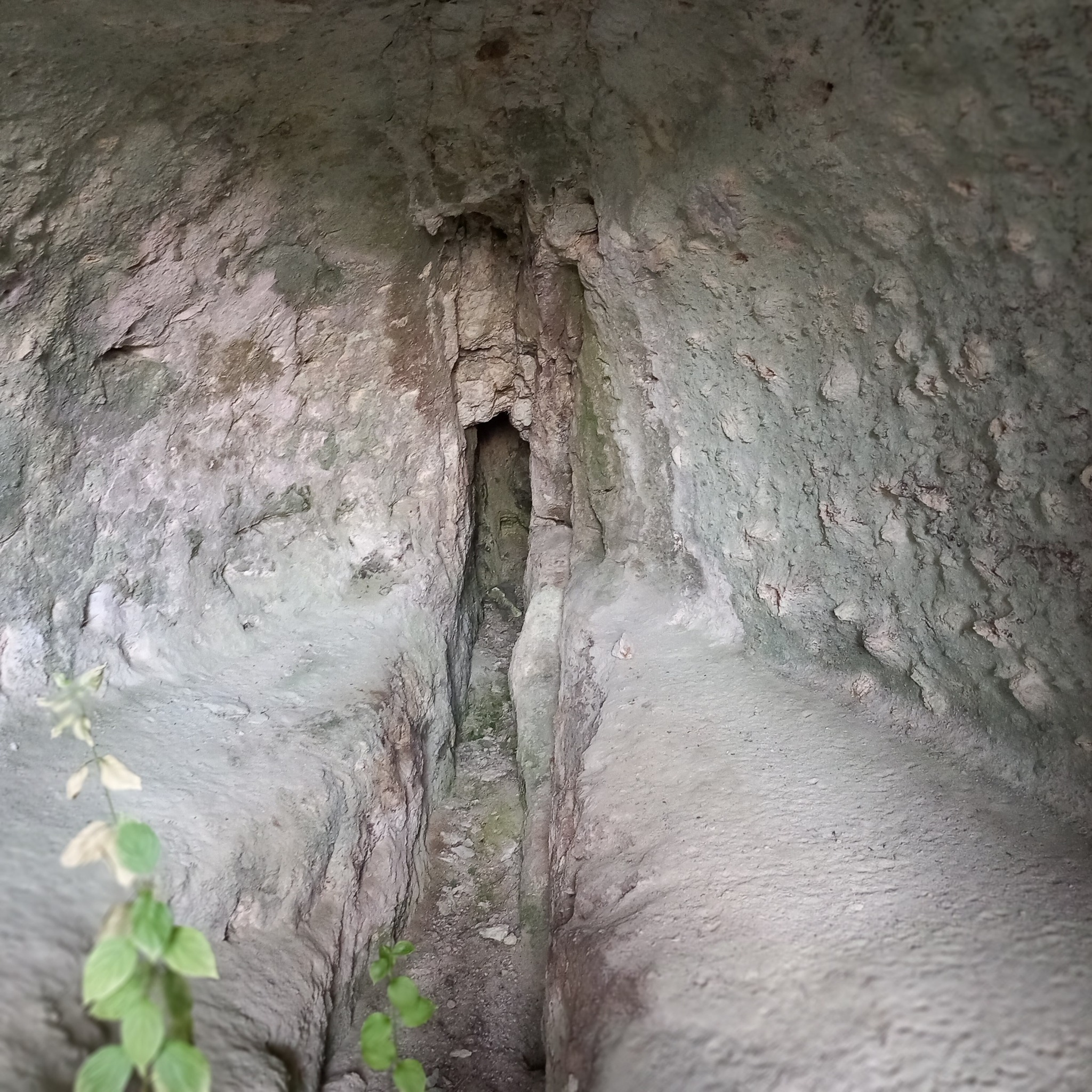 Мухарем Алиосман