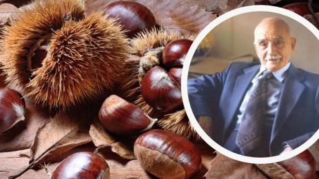 Петър Димков