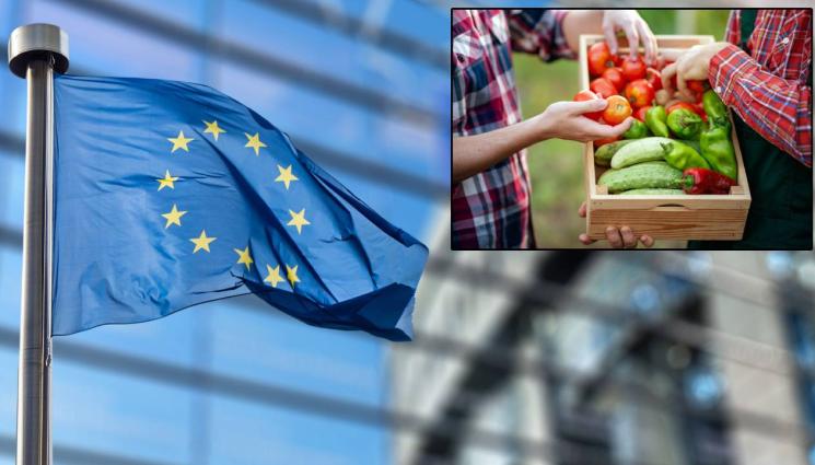 d - След унищожените реколти: ЕК отпуска спешна помощ от 7,4 млн. евро за земеделците в България