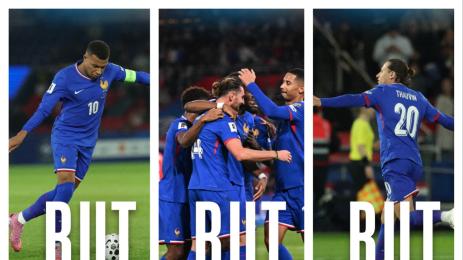 Франция мачка