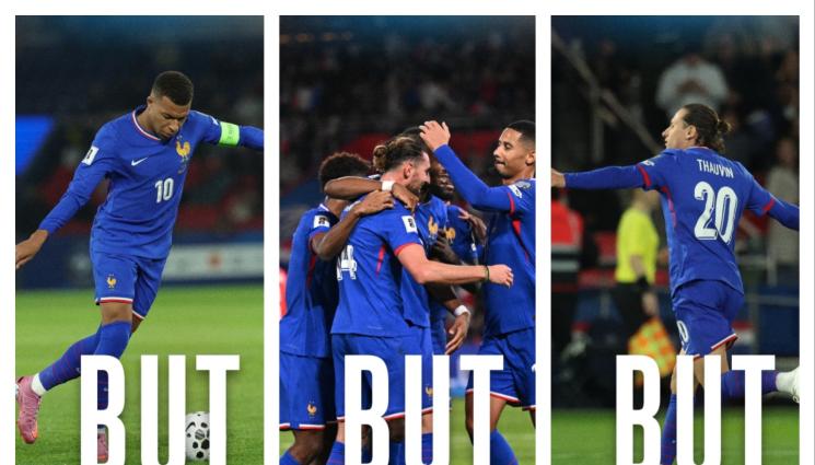 Франция мачка - 