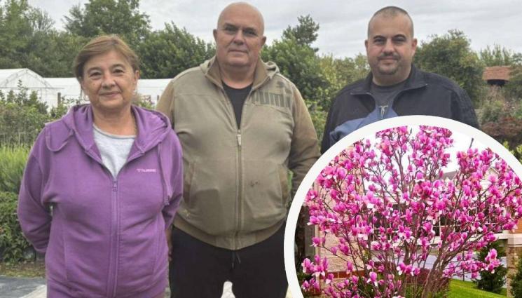 агро - Агро Телеграф: Царството на магнолиите е в Стамболово