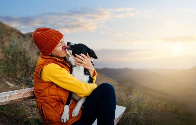 куче човек обич