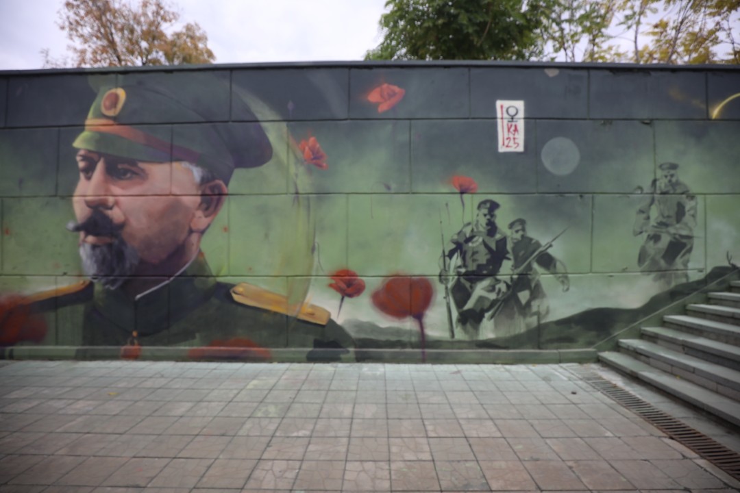 <p>Преобразения подлез при бул. &bdquo;Владимир Вазов&ldquo; и ул. &bdquo;Черковна&ldquo; &ndash; с вдъхновение от героя, дал името на булеварда. Генерал Владимир Вазов е символ на храброст, достойнство и любов към България. Проектът включва почистване и оформяне на пространството около трите входа, ремонт на стените, ново осветление и &ndash; най-важното &ndash; вдъхновяващи графити, създадени от 20 талантливи артисти. В сътрудничество с район &ldquo;Подуяне&rdquo; и с партньорството на оргазацията 0511.bg и артистите Kostur, Yucca, Rustwo, Gergana Evlogieva, Devour, See, Video.Sckre, Kain, Zeal, Jasir, Tse, Weni, Rays, Ganio, Aok, Dea, Pone, Cast, Crock, Morph, Wanske и Zefyn, подлезът се превърна в истинска галерия на открито, която разказва историята на генерал Вазов чрез езика на съвременното изкуство.</p>