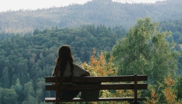 синелибри 2025 - „Синелибри“ представя пет БГ кинопродукции