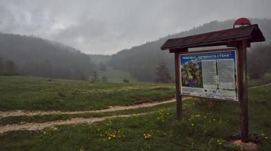 Червената стена