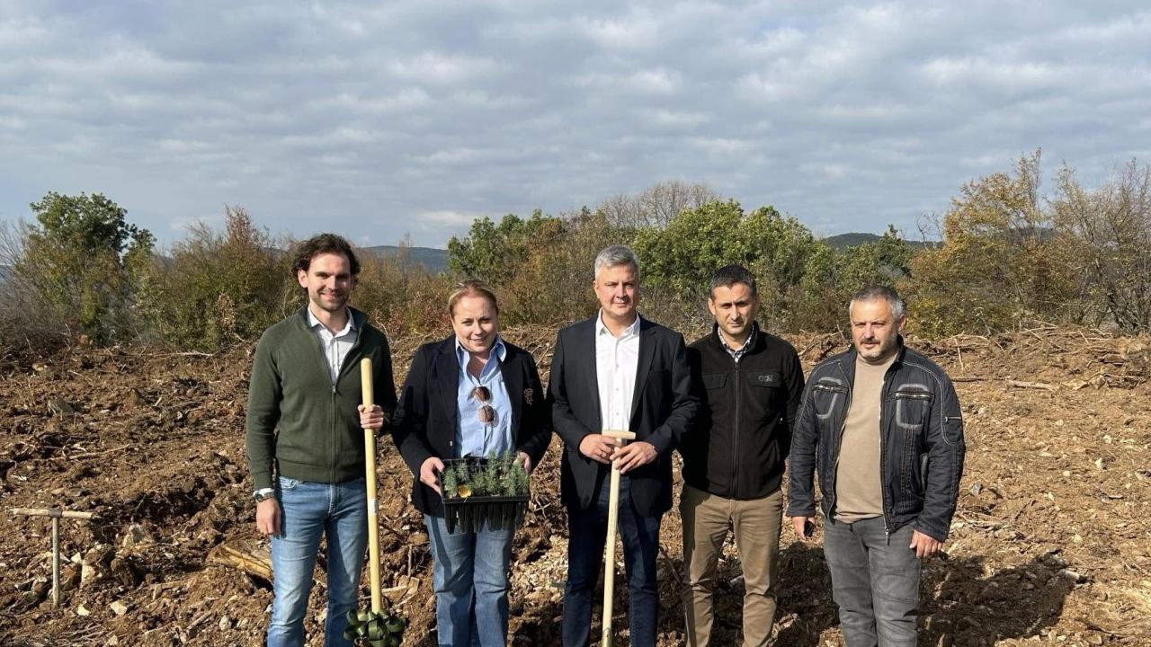 Залесяване край Стара Загора