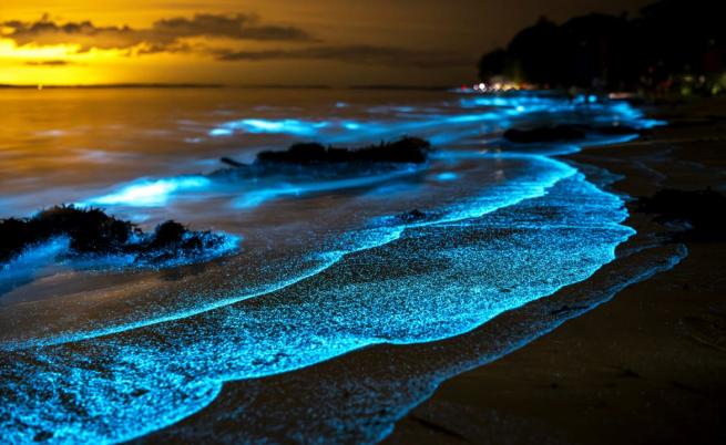 Тревожен сигнал от Черно море - и нашето море започва да свети Тревожен сигнал от Черно море - и нашето море започва да свети