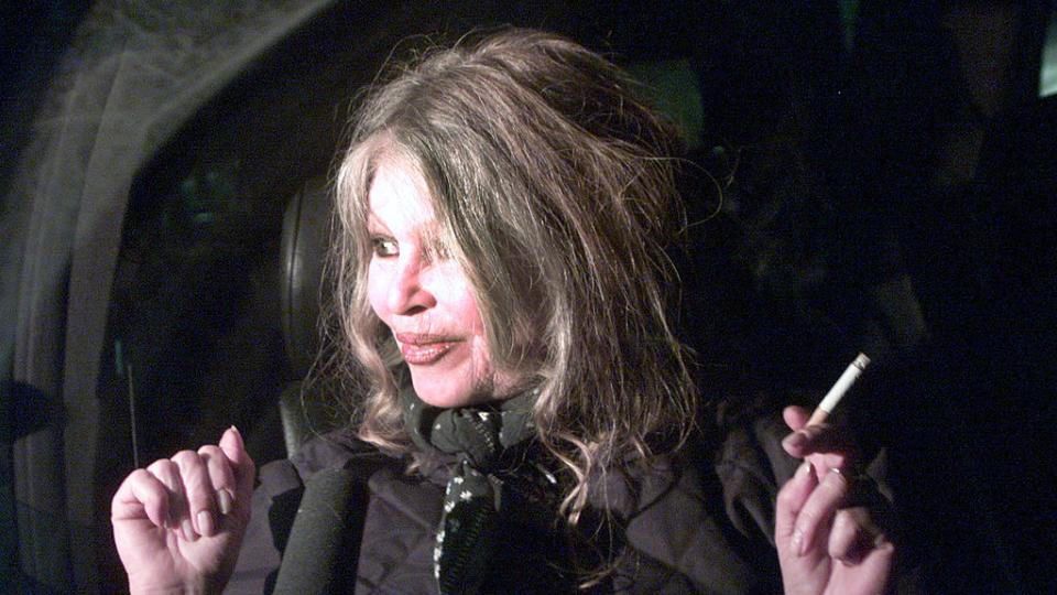 Бриджит Бардо е приета в болница с тежко заболяване