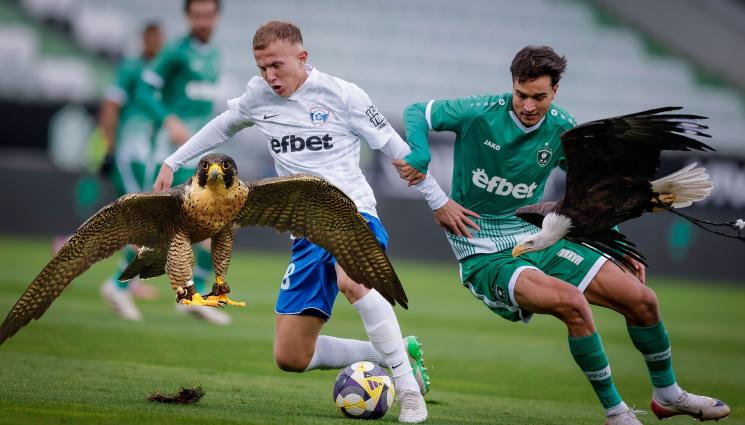 Лудогорец Спартак Варна - 