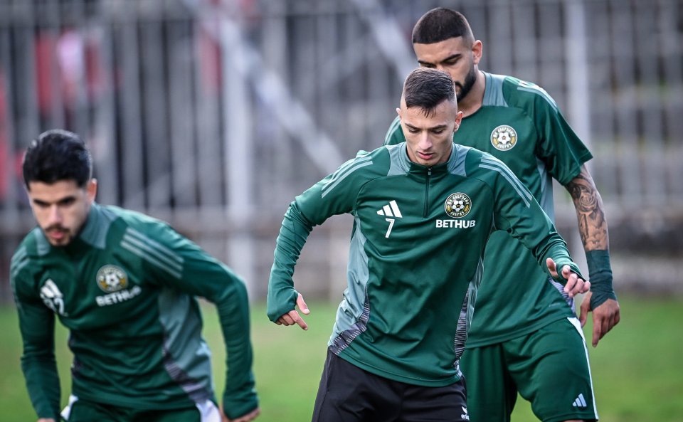 Добруджа ЦСКА1